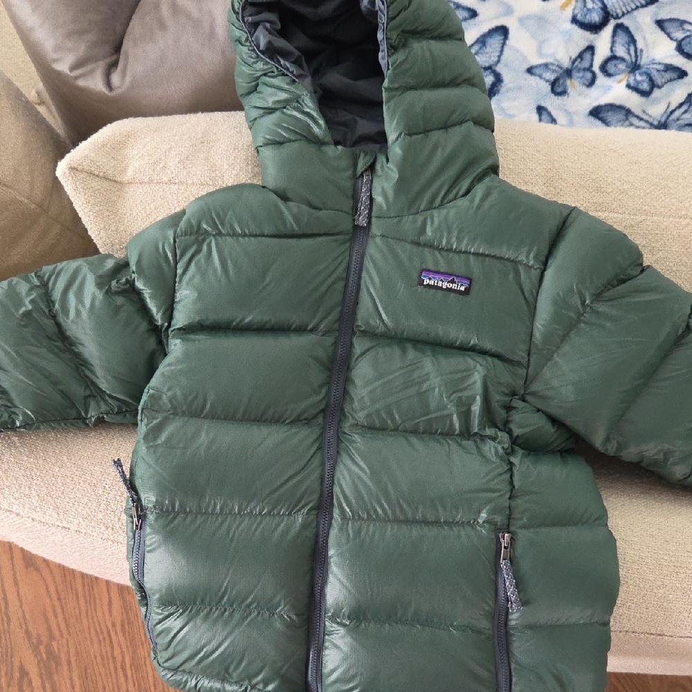Patagonia down sweater coat